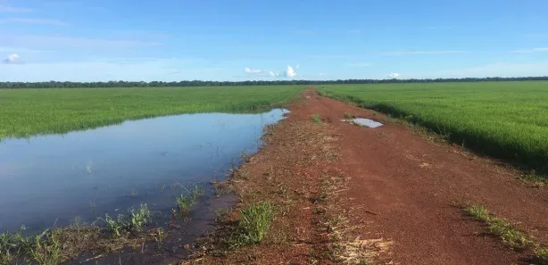 Terreno / Lote / Condomínio à venda, 1500m² no Setor Central, Lagoa da Confusão