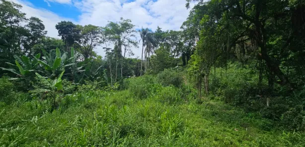 Terreno / Lote / Condomínio à venda, 900m² no Antonina, Antonina