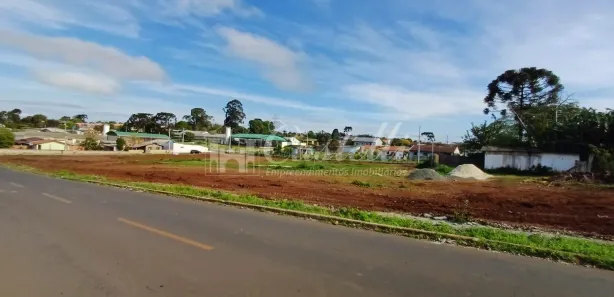 Terreno / Lote / Condomínio para alugar, 10000m² no Uvaranas, Ponta Grossa