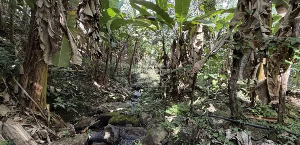 Fazenda / Sítio / Chácara com 6 Quartos à venda, 30000m² no , Pacoti