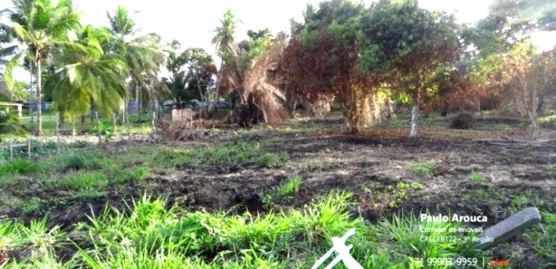 Terreno / Lote / Condomínio à venda, 5232m² no Nova Abrantes (Abrantes), Camaçari