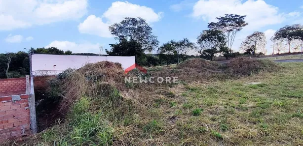 Terreno / Lote / Condomínio à venda, 275m² no Jardim Amélia Dionísio, Olímpia