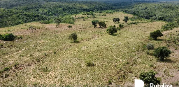 Fazenda / Sítio / Chácara à venda, 348m² no , Rio Sono