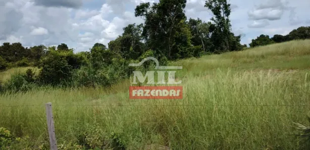 Fazenda / Sítio / Chácara à venda, 500m² no , Paranã