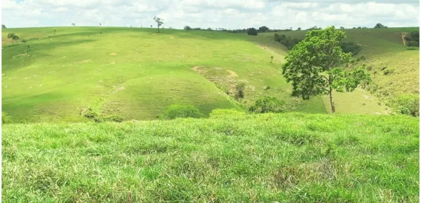 Fazenda / Sítio / Chácara à venda, 496100m² no Centro, Nossa Senhora das Dores