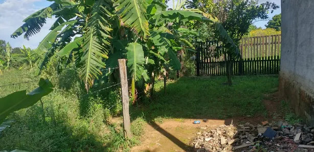 Fazenda / Sítio / Chácara com 3 Quartos à venda, 5000m² no , Padre Bernardo