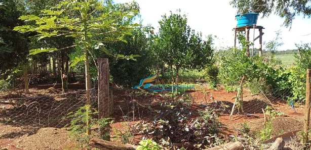 Fazenda / Sítio / Chácara com 4 Quartos à venda, 500m² no , Catanduvas