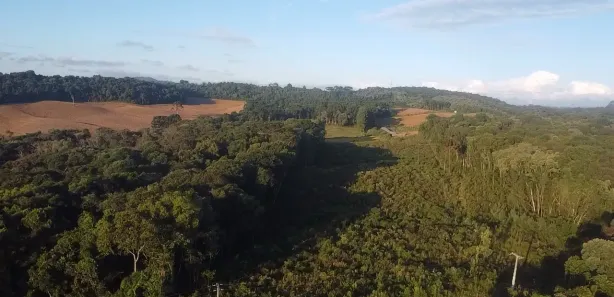 Fazenda / Sítio / Chácara à venda, 44000m² no Área Rural de Almirante Tamandaré, Almirante Tamandaré