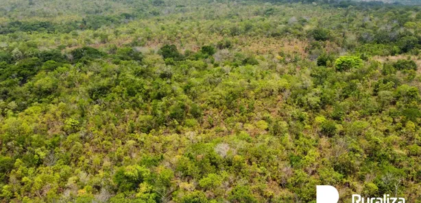 Fazenda / Sítio / Chácara à venda, 96m² no , Pedro Afonso