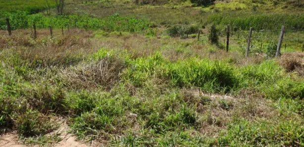 Terreno / Lote Comercial à venda, 494m² no Dos Ivo, Jarinu