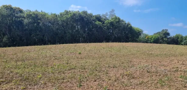 Terreno / Lote / Condomínio à venda, 60617m² no Cecilia, Campo Magro