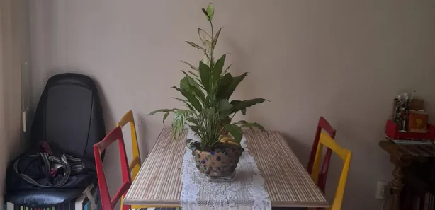 Apartamento com 1 Quarto à venda, 45m² no Chácara Flora, Petrópolis