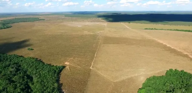 Fazenda / Sítio / Chácara à venda, 3584m² no , Presidente Kennedy