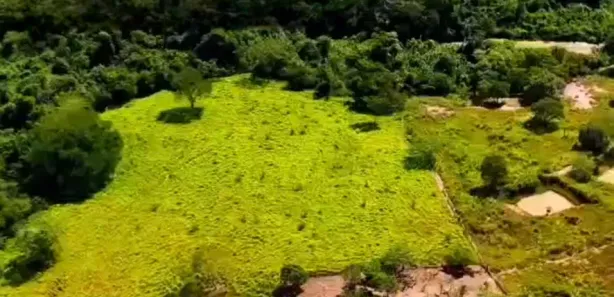 Fazenda / Sítio / Chácara à venda, 295000000m² no Área Rural de Formosa, Formosa