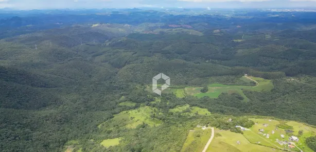 Terreno / Lote / Condomínio à venda, 20129m² no São Luiz do Purunã, Balsa Nova