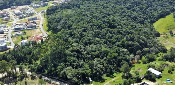 Terreno / Lote / Condomínio à venda, 15619m² no Parque Dom Henrique, Cotia