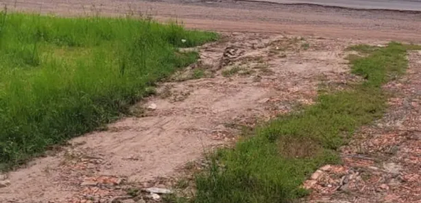 Fazenda / Sítio / Chácara com 3 Quartos à venda, 100m² no , Itapecuru Mirim