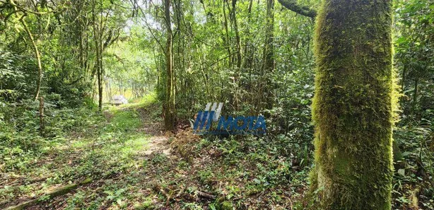 Fazenda / Sítio / Chácara com 1 Quarto à venda, 19367m² no Quatro Barras, Quatro Barras