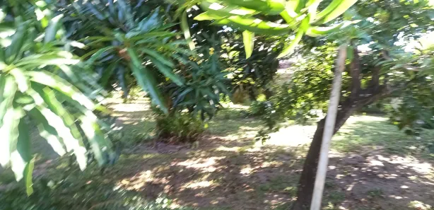 Casa de Vila com 5 Quartos à venda, 200m² no , Vera Cruz