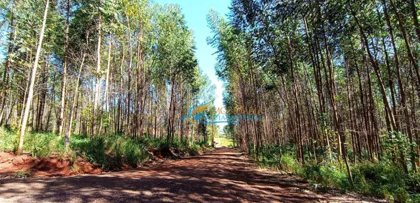 Fazenda / Sítio / Chácara à venda, 1365m² no São Salvador, Cascavel