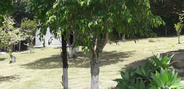Fazenda / Sítio / Chácara com 3 Quartos para venda ou aluguel, 170m² no Cocuera, Mogi das Cruzes