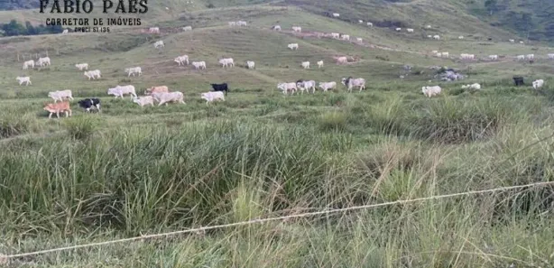 Fazenda / Sítio / Chácara com 5 Quartos à venda, 3590000m² no , Rio Bonito