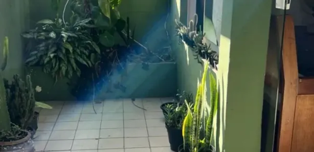 Casa com 4 Quartos à venda, 100m² no , Areal