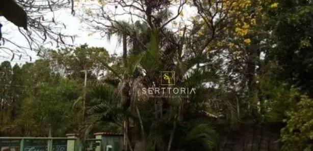 Fazenda / Sítio / Chácara com 3 Quartos à venda, 350m² no Chácara Cruzeiro do Sul, Sumaré