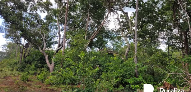 Fazenda / Sítio / Chácara à venda, 1243m² no , Divinópolis do Tocantins