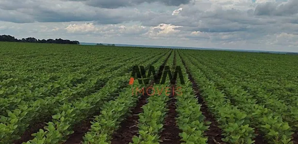 Fazenda / Sítio / Chácara à venda, 24829200m² no , Pedro Afonso
