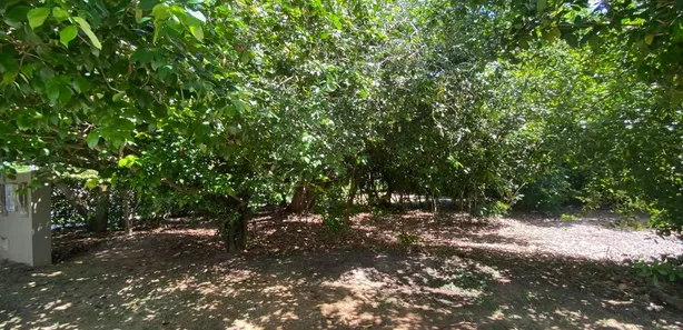 Terreno / Lote / Condomínio à venda, 1000m² no Busca Vida (Abrantes), Camaçari