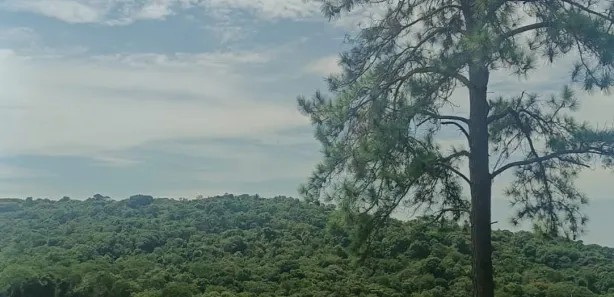 Casa de Condomínio com 1 Quarto à venda, 500m² no Curral, Ibiúna