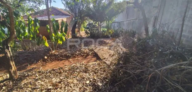 Terreno / Lote / Condomínio para alugar, 359m² no Centro, São Carlos