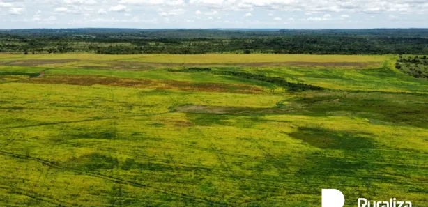 Fazenda / Sítio / Chácara à venda, 2731m² no , Santa Maria do Tocantins