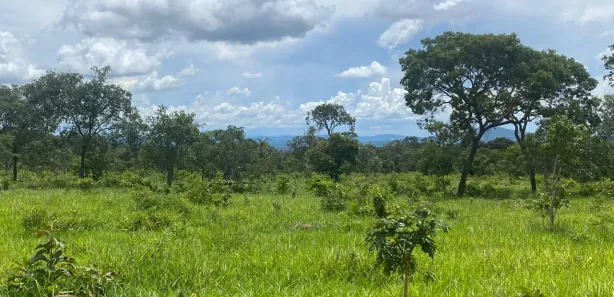 Terreno / Lote / Condomínio à venda, 20000m² no Centro, Pirenópolis