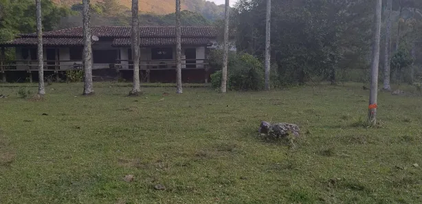 Fazenda / Sítio / Chácara com 3 Quartos à venda, 968000m² no Zona Rural, Mendes