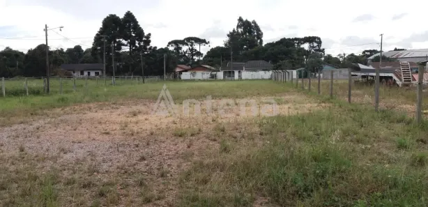 Terreno / Lote / Condomínio para alugar, 2000m² no Quississana, São José dos Pinhais