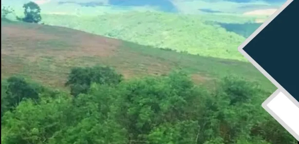 Fazenda / Sítio / Chácara à venda, 1360000m² no Centro, Nossa Senhora das Dores