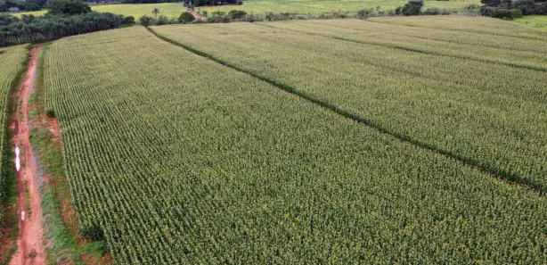 Fazenda / Sítio / Chácara à venda, 1700000m² no Arapoanga, Brasília