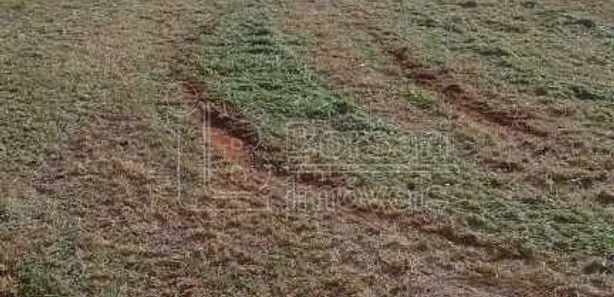 Terreno / Lote / Condomínio para alugar, 6800m² no Jardim Tinen, Araraquara