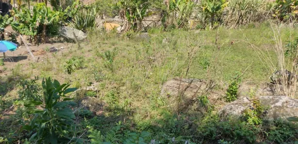 Fazenda / Sítio / Chácara com 1 Quarto à venda, 6800m² no , Piedade