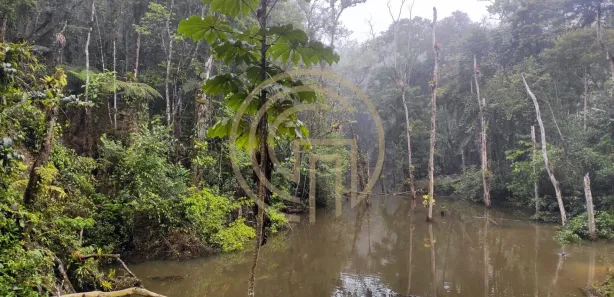 Fazenda / Sítio / Chácara com 3 Quartos à venda, 10000m² no Centro, Embu-Guaçu