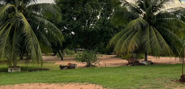 Fazenda / Sítio / Chácara com 4 Quartos à venda, 650m² no , Pindoretama