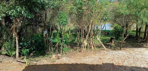 Fazenda / Sítio / Chácara com 2 Quartos à venda, 2500m² no Contenda, Contenda