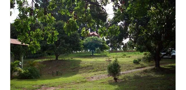 Fazenda / Sítio / Chácara com 3 Quartos à venda, 220m² no Jundiaquara, Araçoiaba da Serra