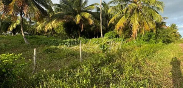 Terreno / Lote Comercial à venda, 15000m² no Centro, Barra dos Coqueiros