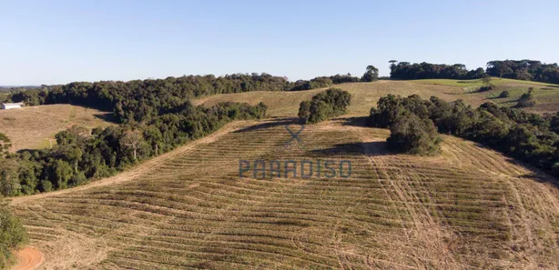 Terreno / Lote / Condomínio à venda, 76000m² no Jardim Pioneiro, Campo Magro