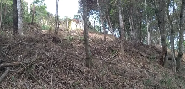 Terreno / Lote / Condomínio à venda, 1461m² no Pirucaia, Mairiporã