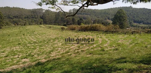 Fazenda / Sítio / Chácara à venda, 556600m² no , Piedade