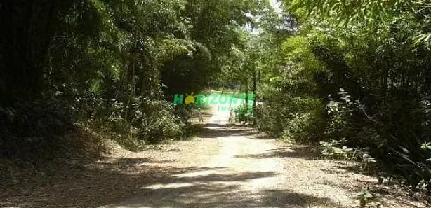 Fazenda / Sítio / Chácara com 11 Quartos à venda, 600m² no Chácara Marambaia, Caçapava